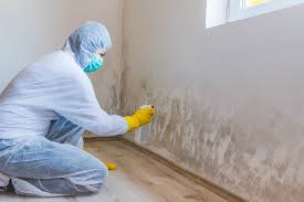 Why You Should Choose Our Mold Remediation Services in Roanoke, AL